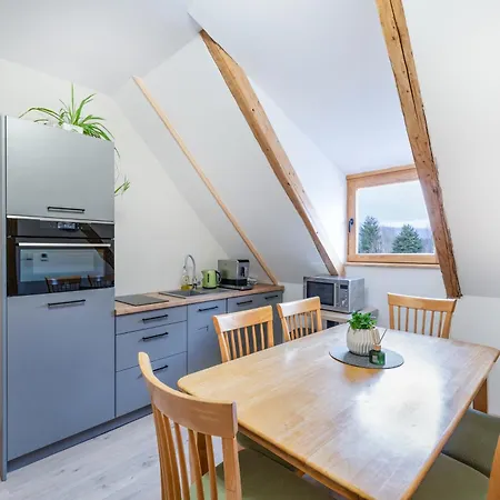 Hajnyho Stodola - דירה *